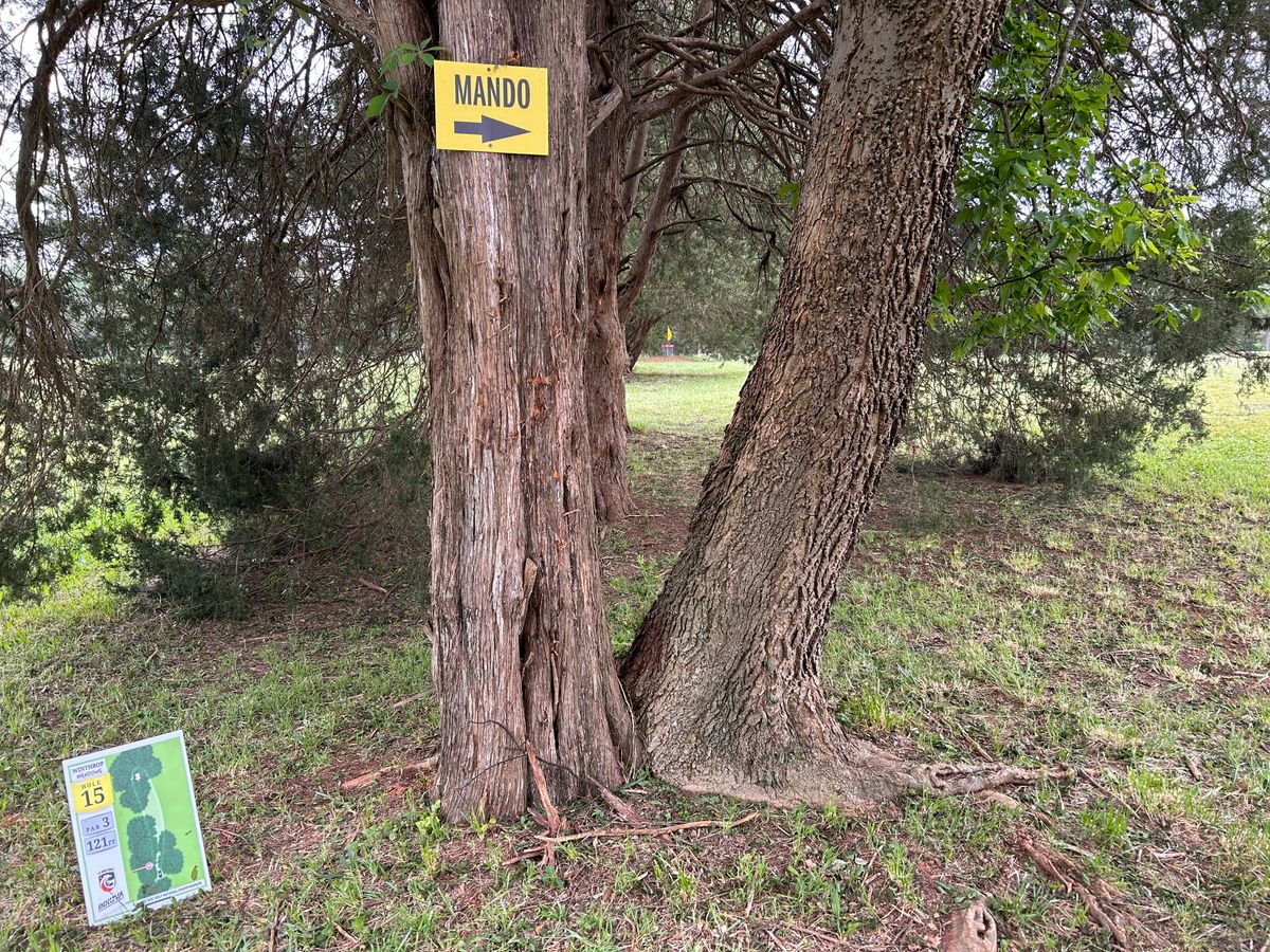Hole 15 from tee. Roller shot