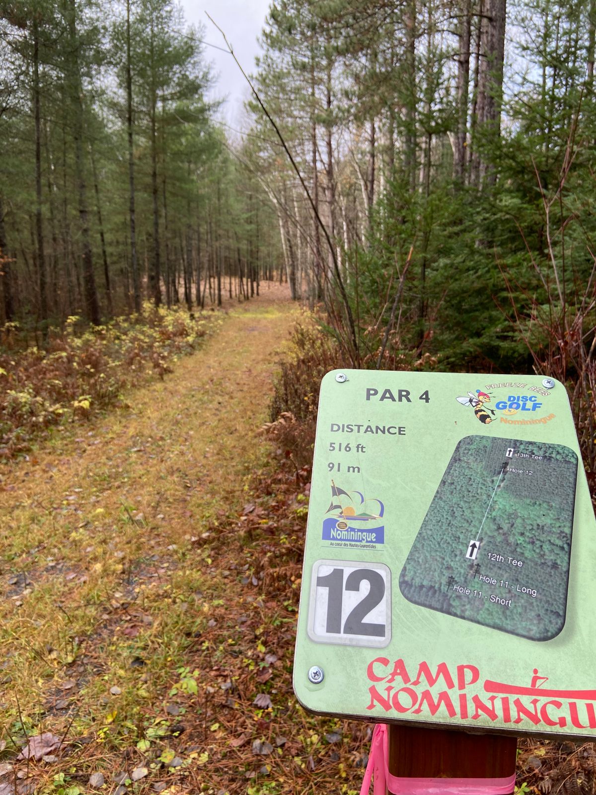 Tee 12