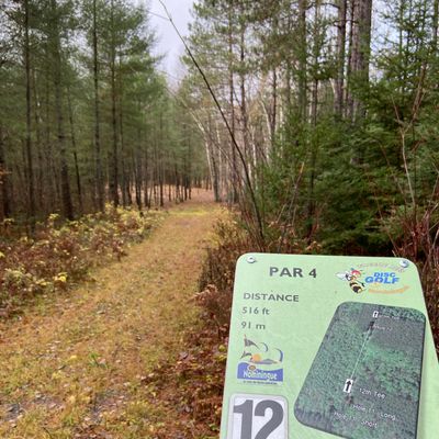 Tee 12