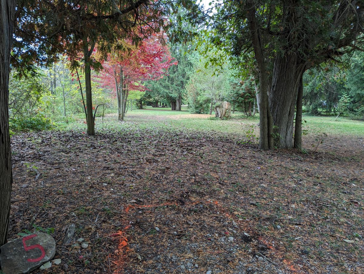 Hole 5 short tee in the fall