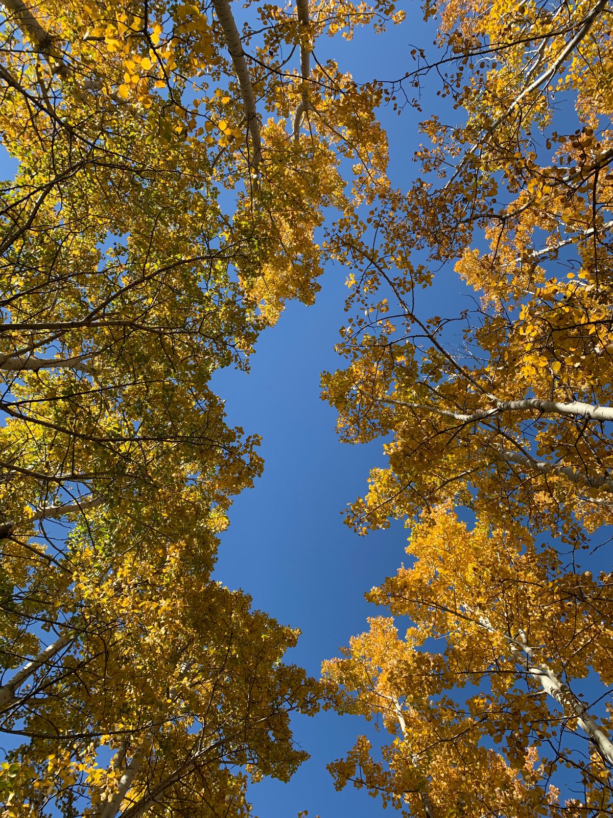 Sometimes you just need to look up