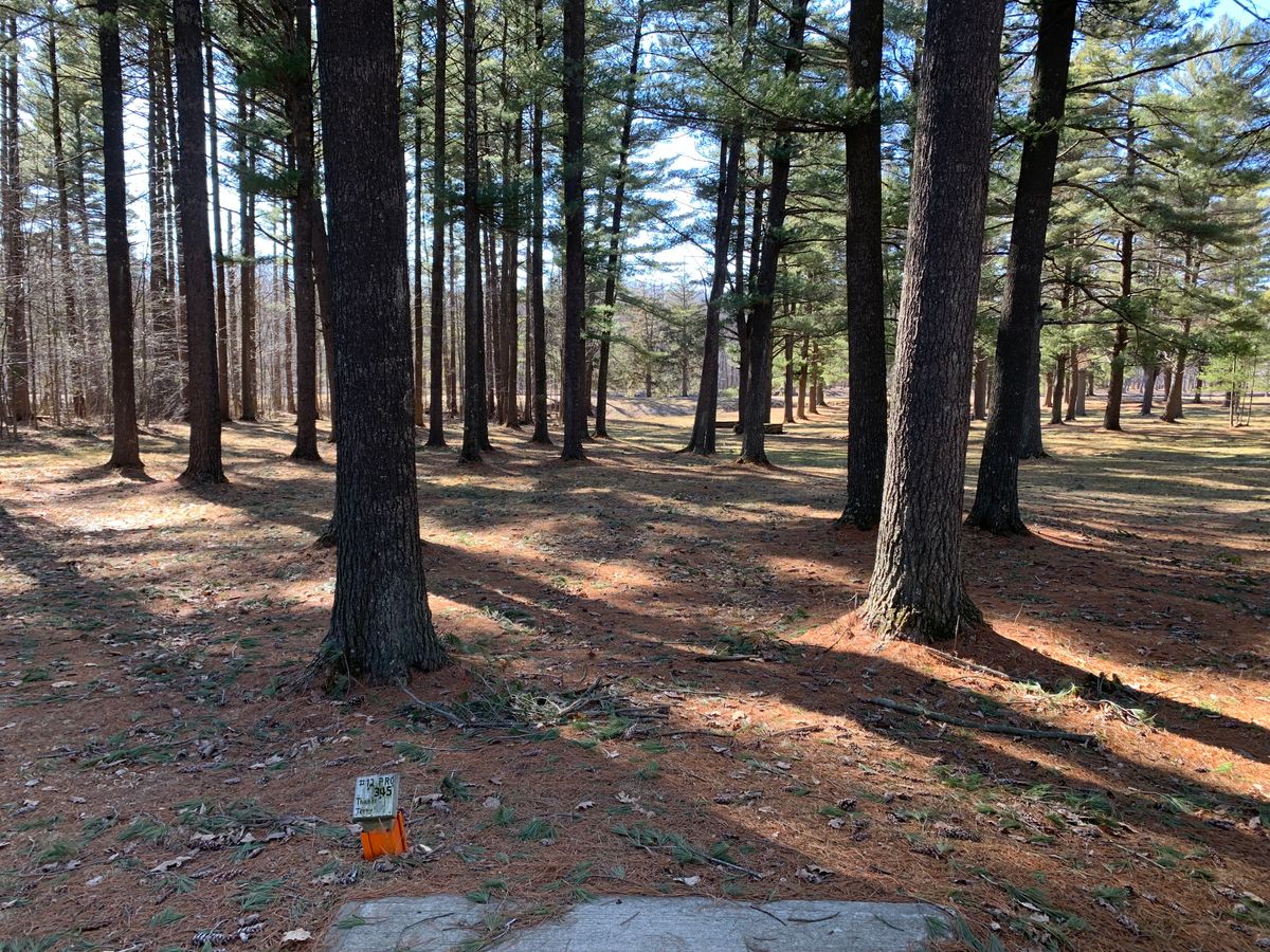 Hole 12 tee (long)