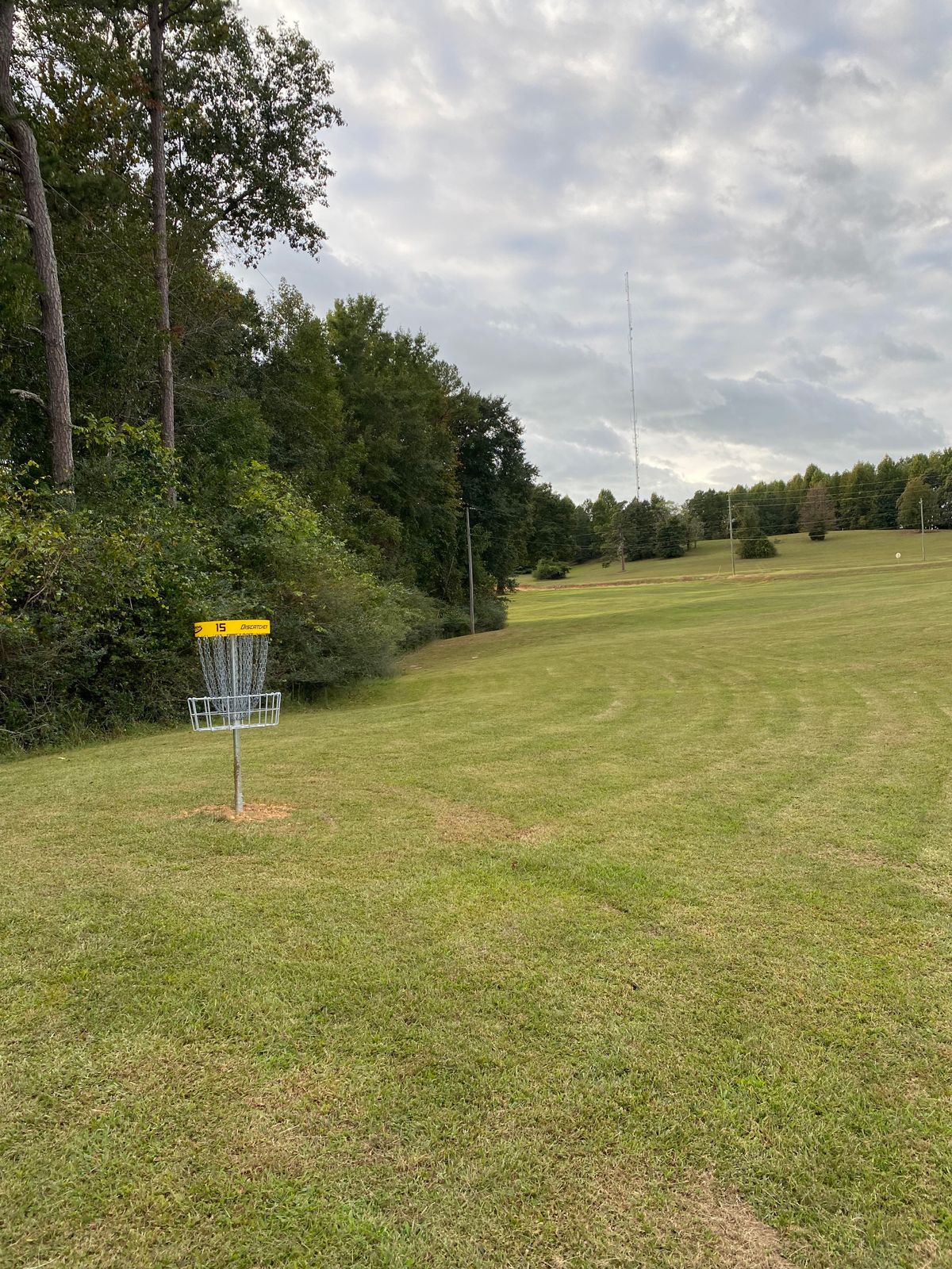 Hole 15 Basket