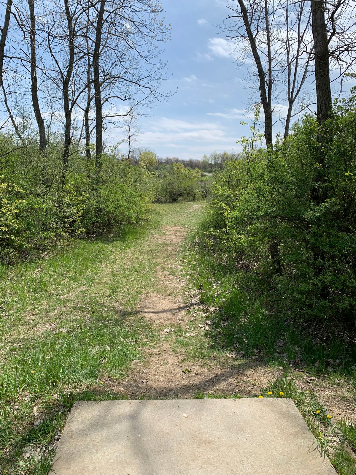 Hole 15