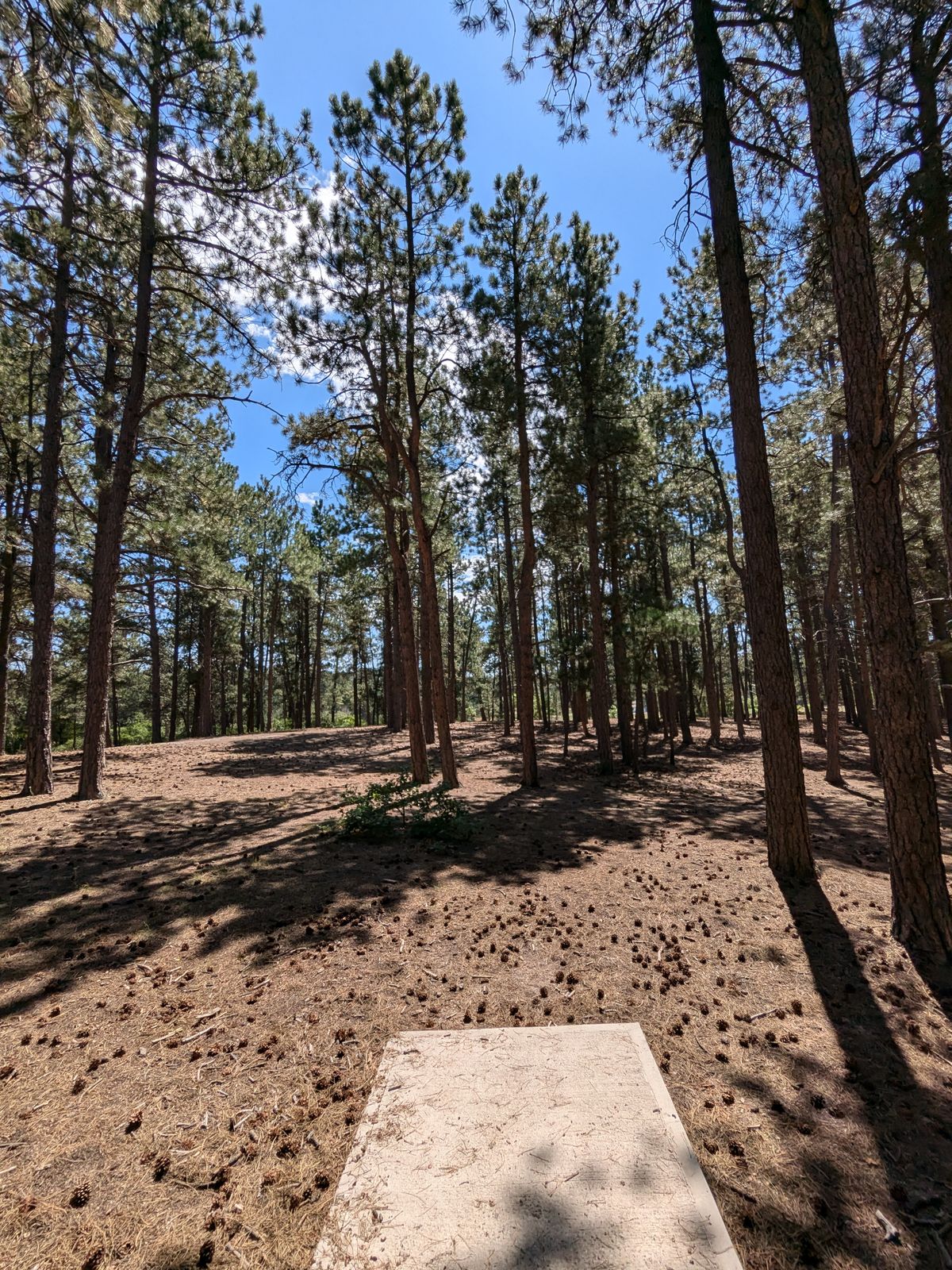 Hole 4 teepad