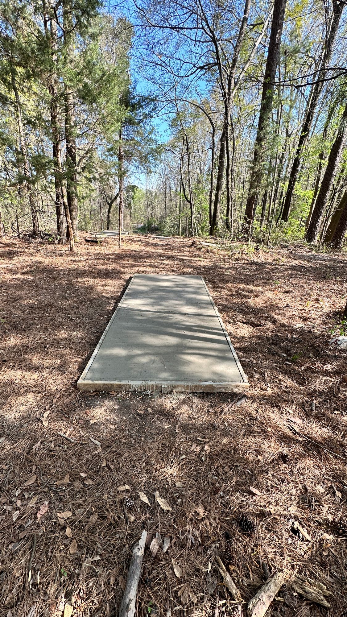 Hole 5 long