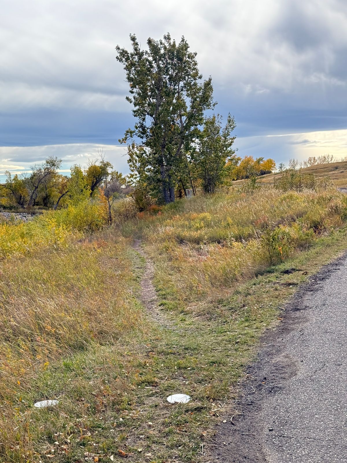 Hole 7