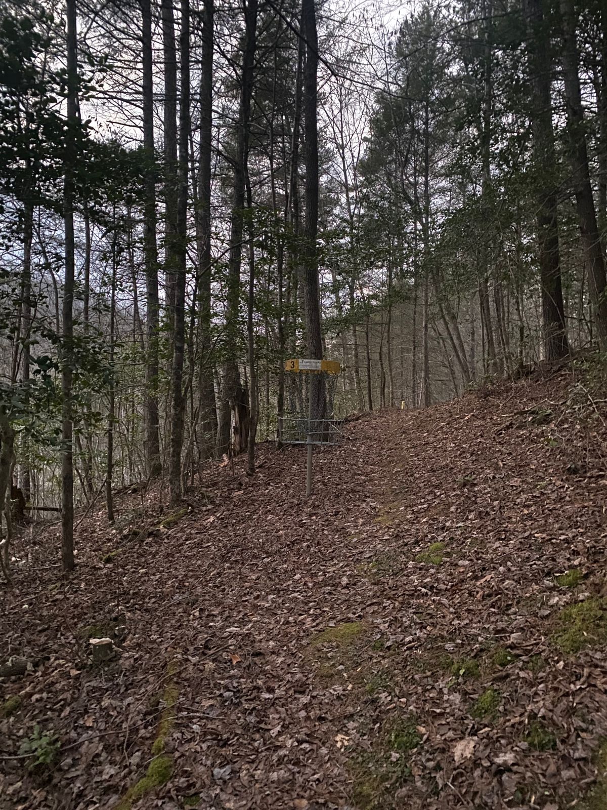 Basket of hole 3