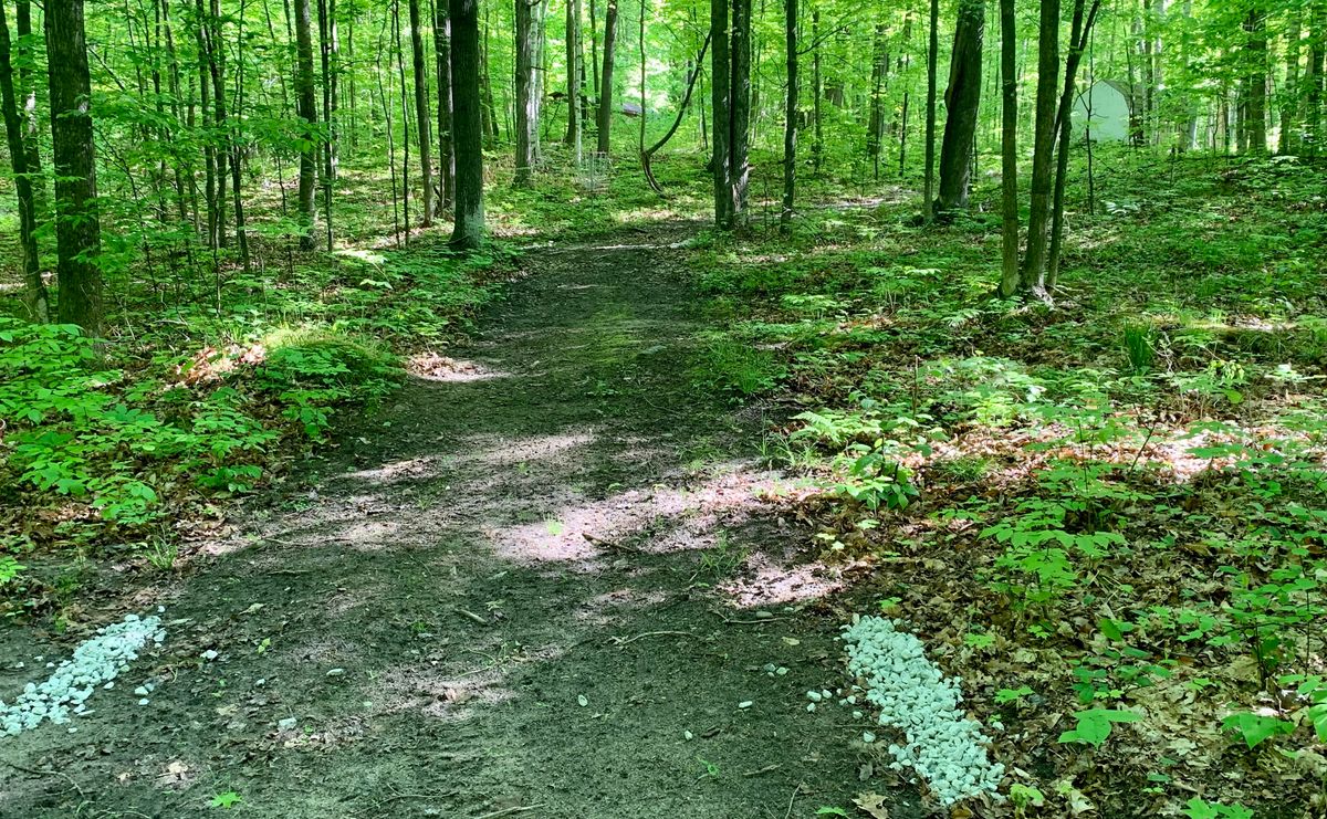 Hole 7