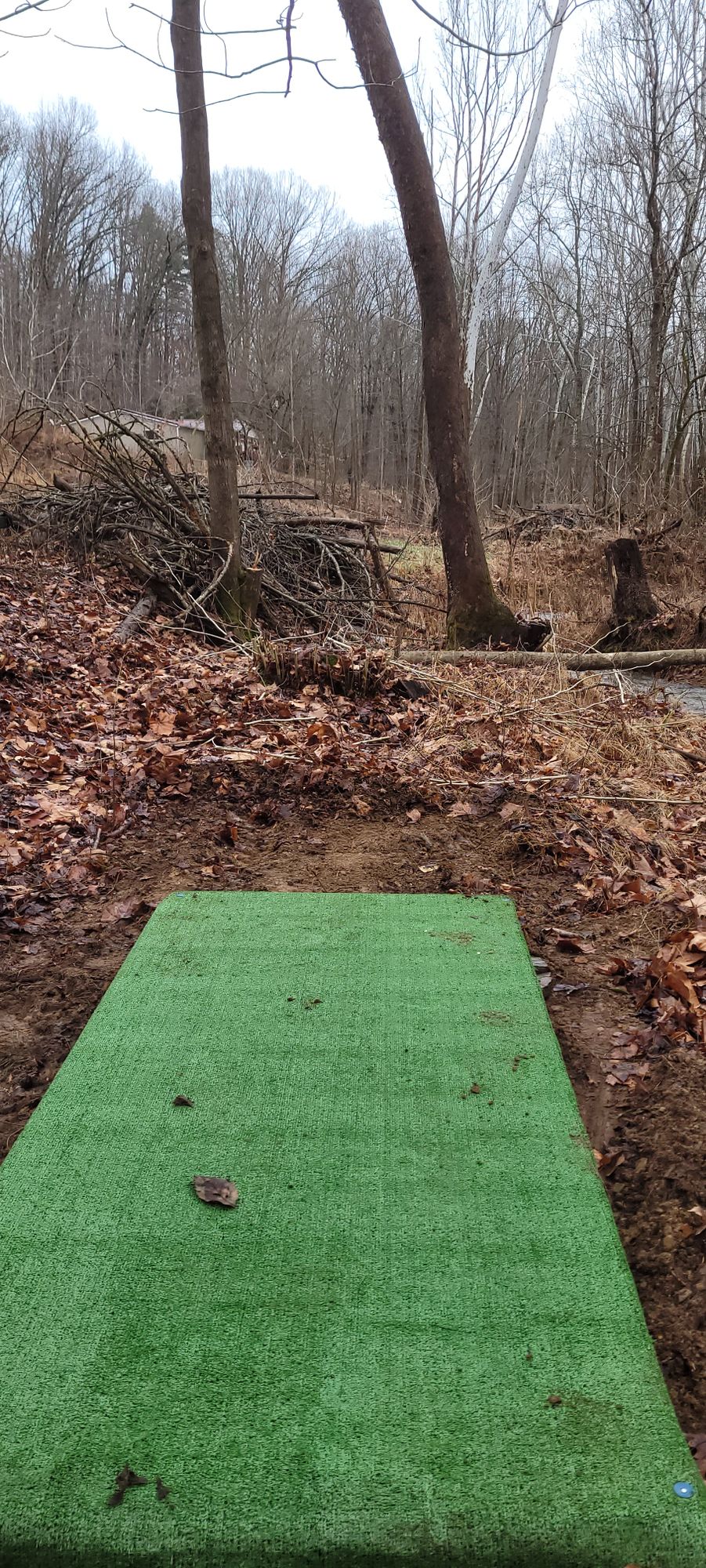 Hole 11