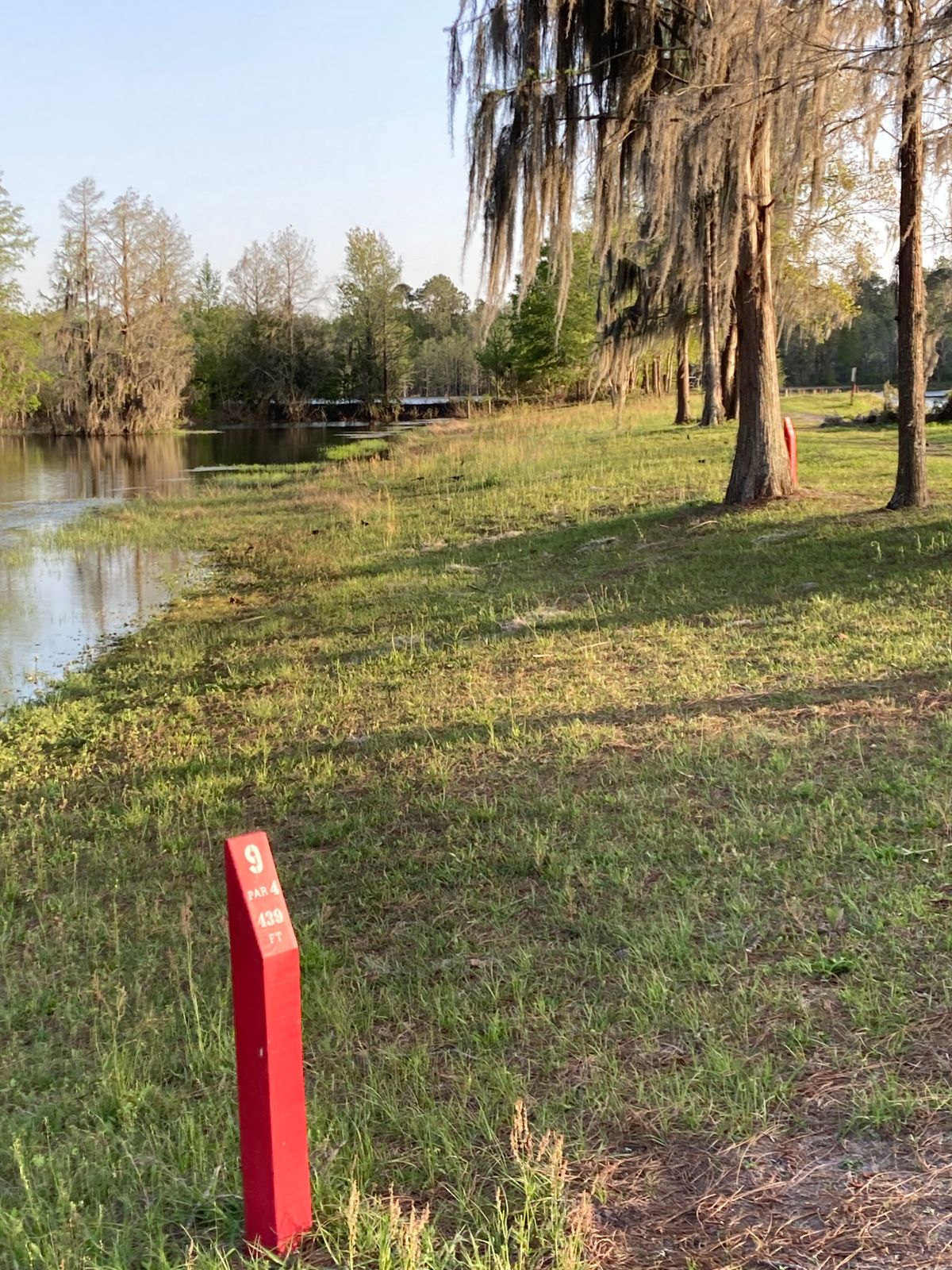 Hole 9, basket is straight down, water on both sides
There are alligators in thewater on the left