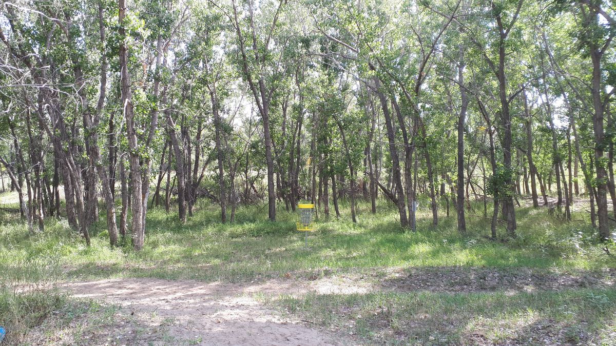 Hole 4 basket and green