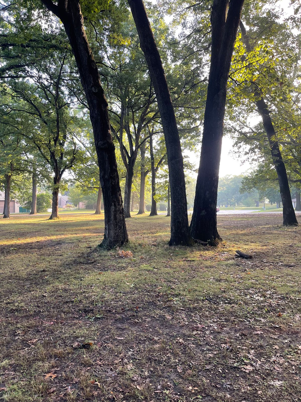 Hole 4