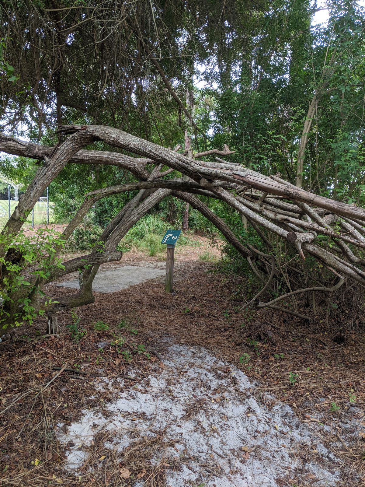 You have to duck under some fallen lumber to get to the second hole.