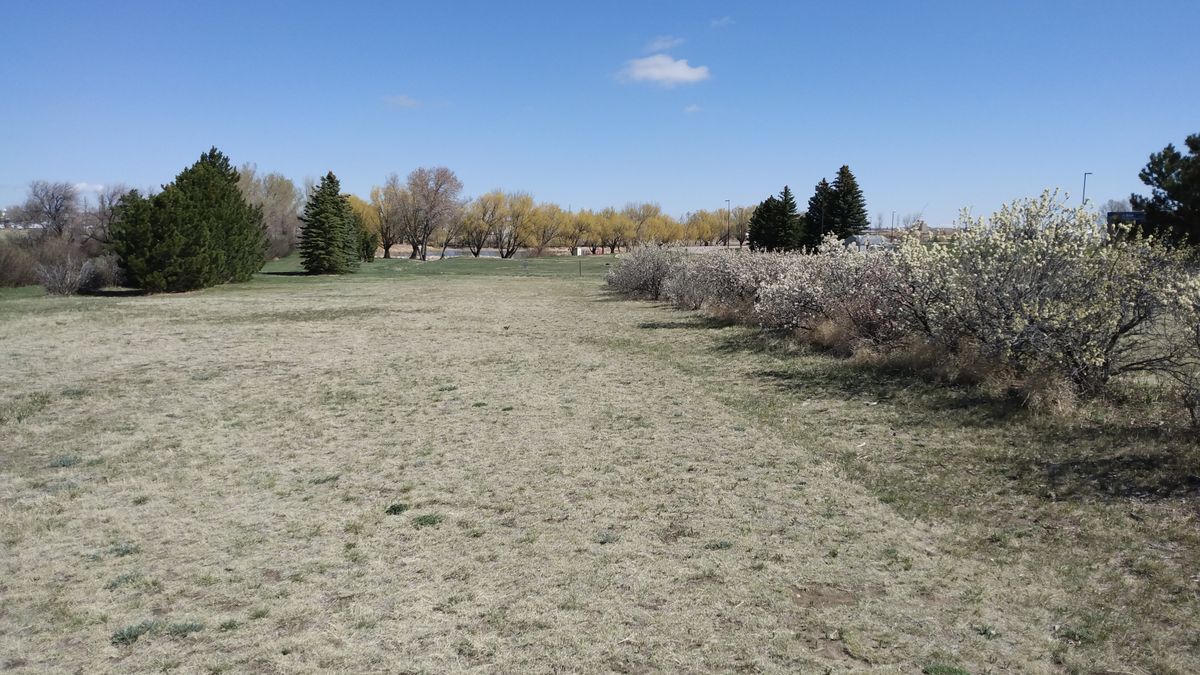 Fairway on holes 4-6
