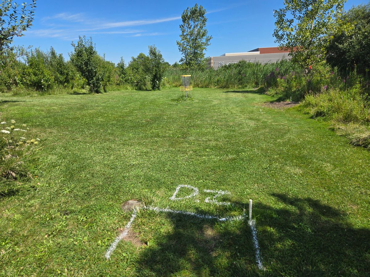 Drop zone for island green