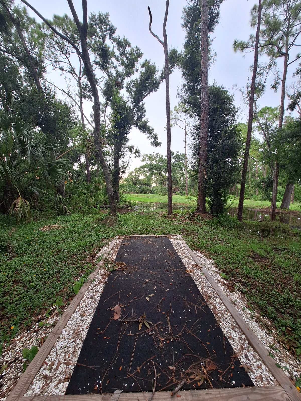 Hole 1 tee pad