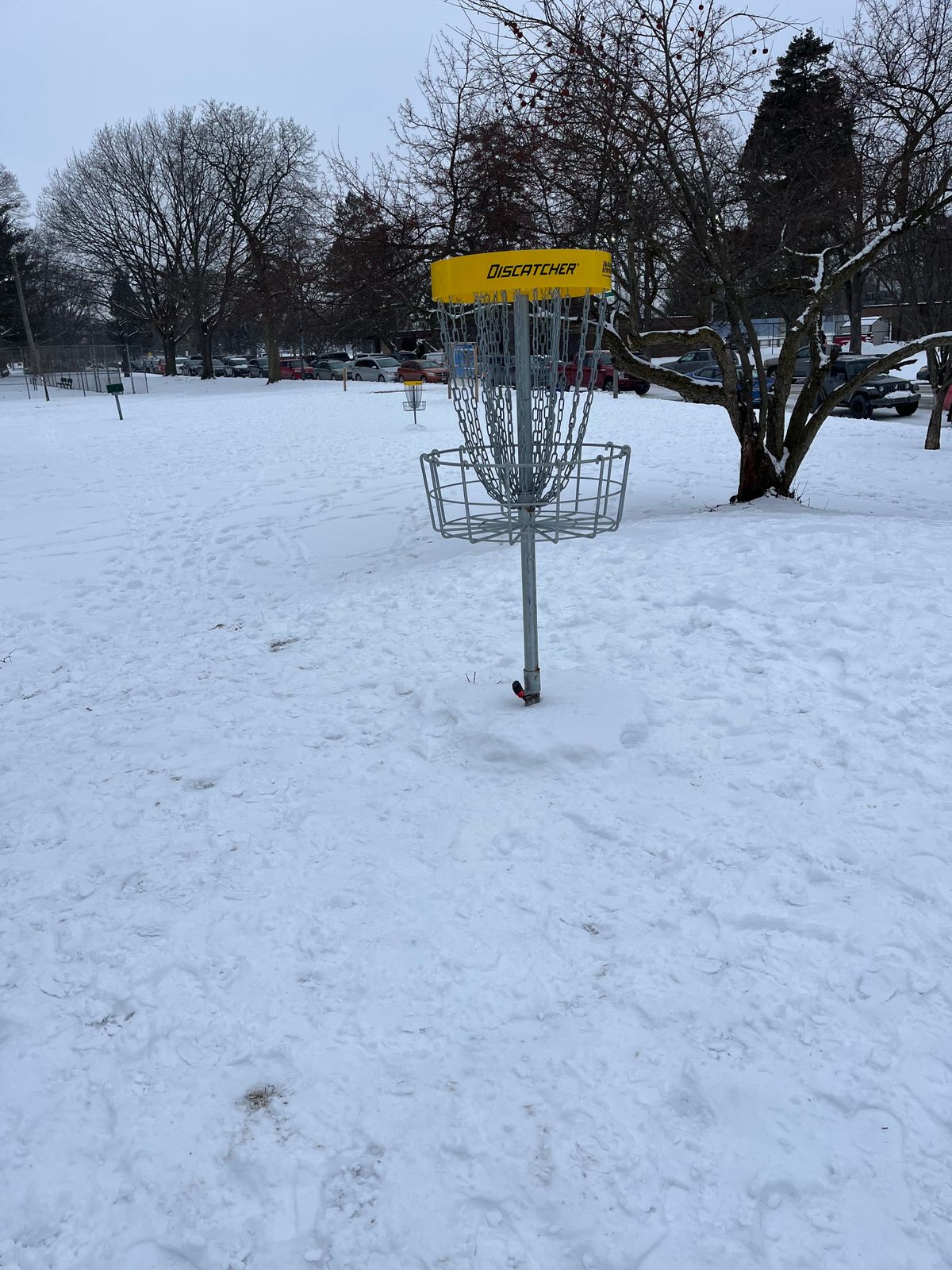 Basket on the small hill on 9