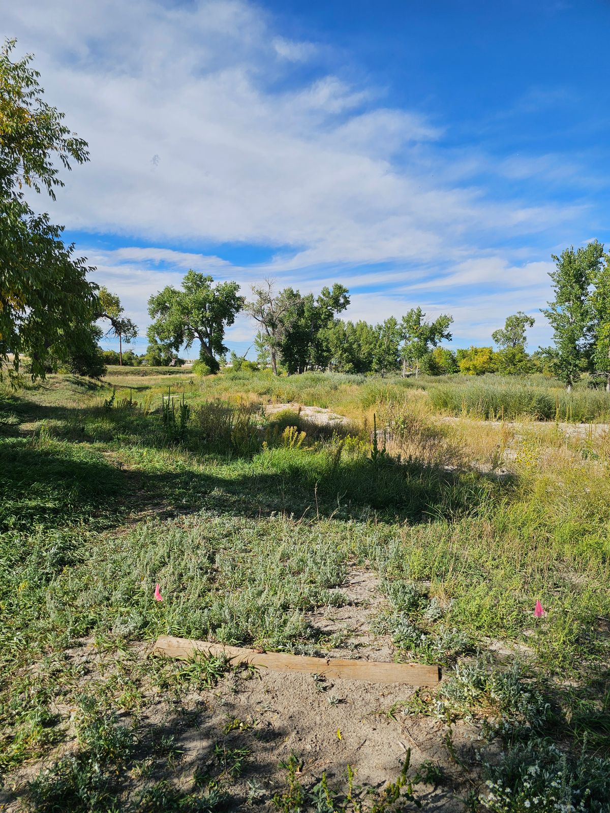 Hole 17