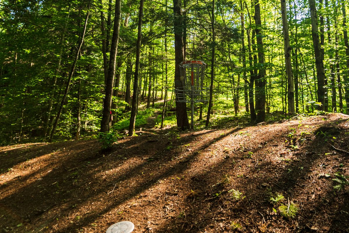 Hole 10 basket