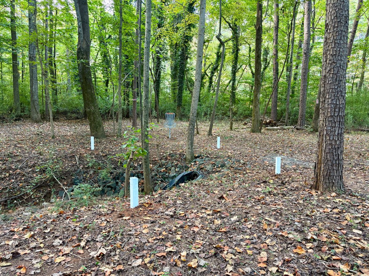 Hole 4 approach
