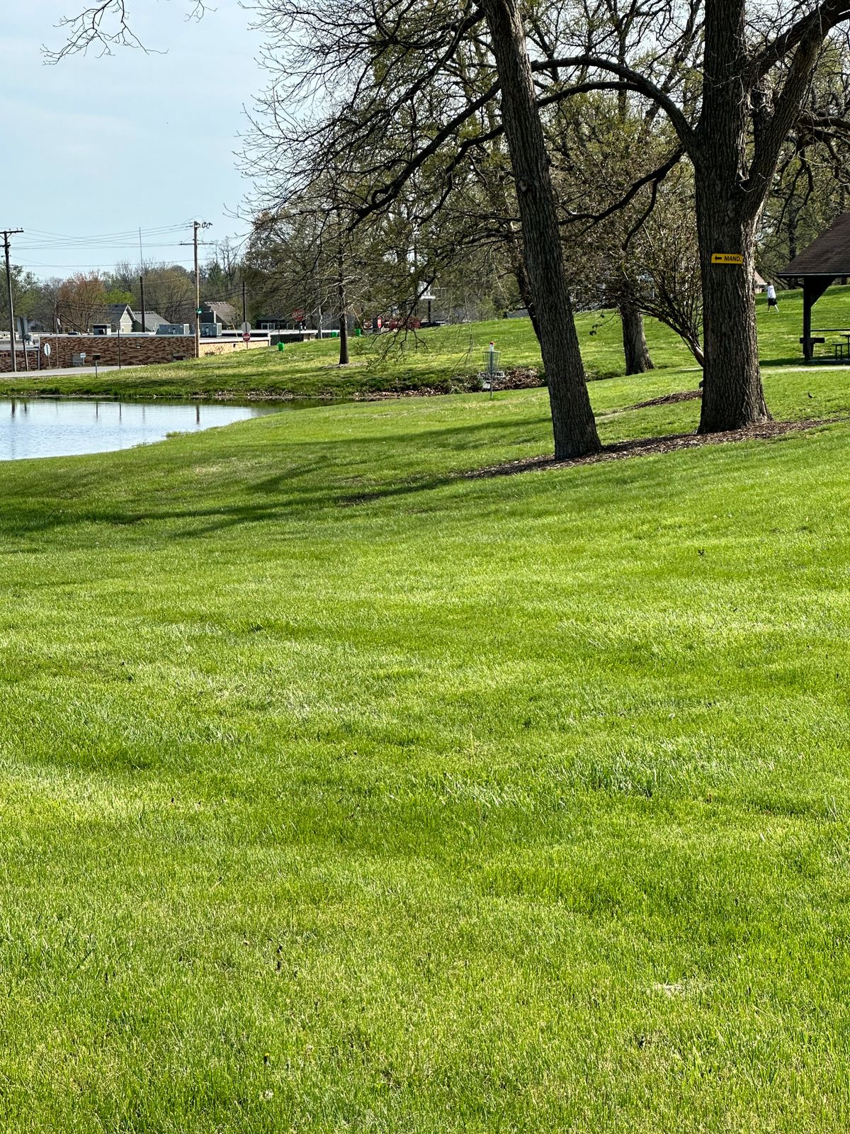 Hole 1 basket