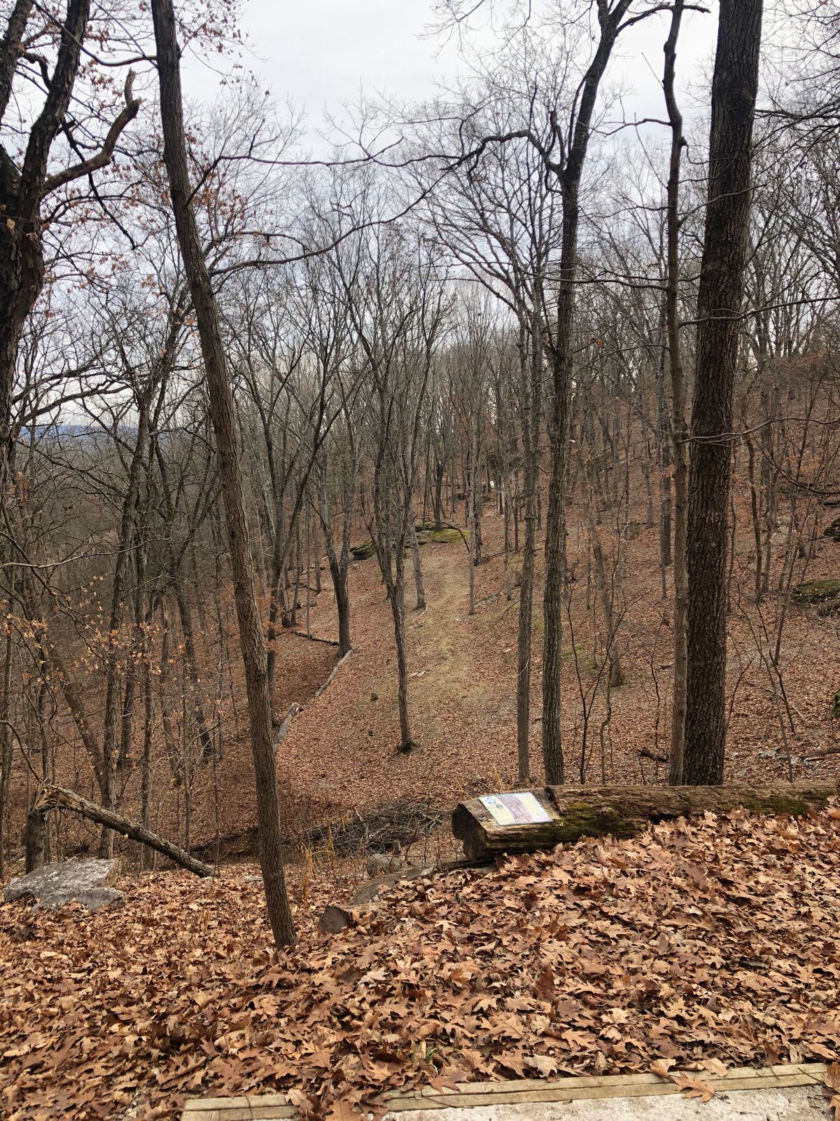 One of many great views from a tee box.