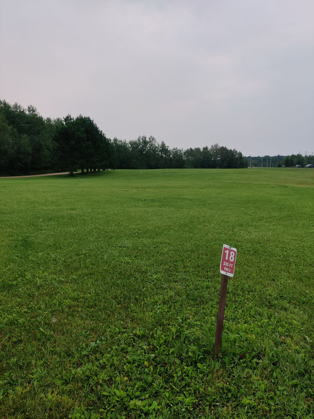 Tee 18