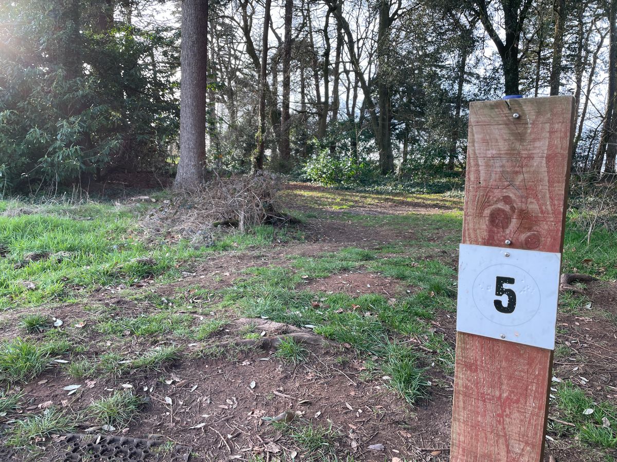 Hole 5