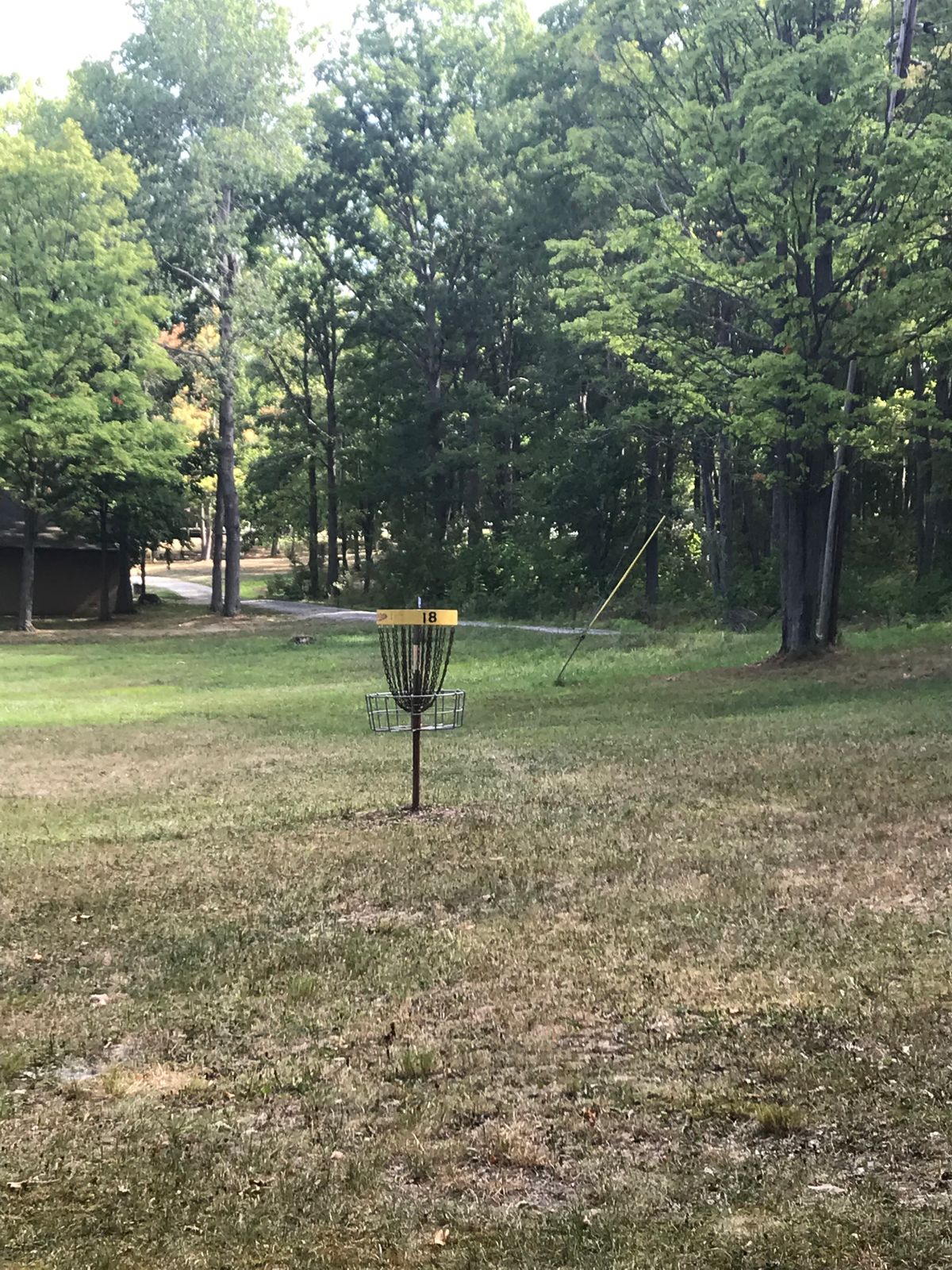 #18 green