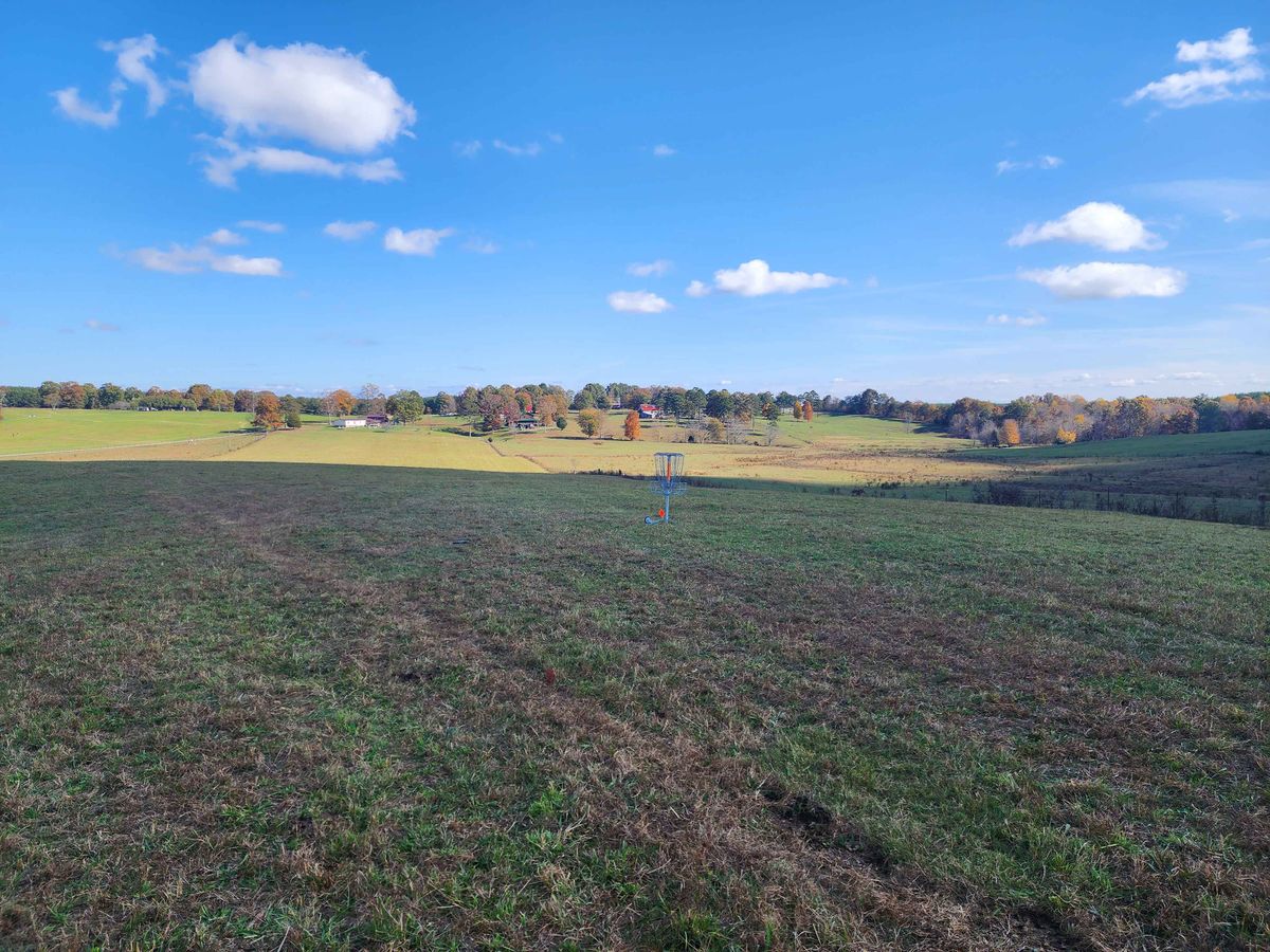 Basket of 8, looking back at fairway of 6 (Holes 11 and 10 in 2024)