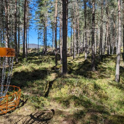 Hole 4