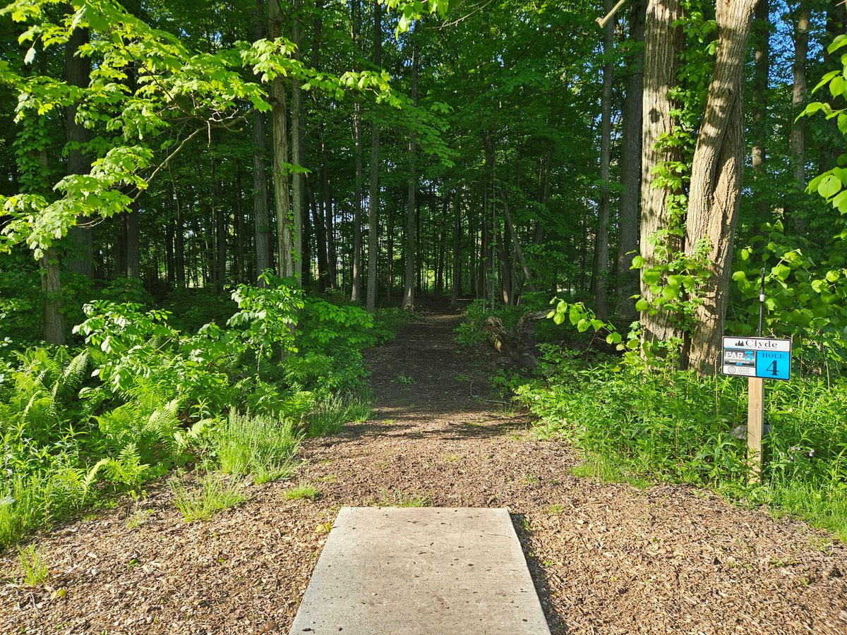 Hole 4 Spring 2024