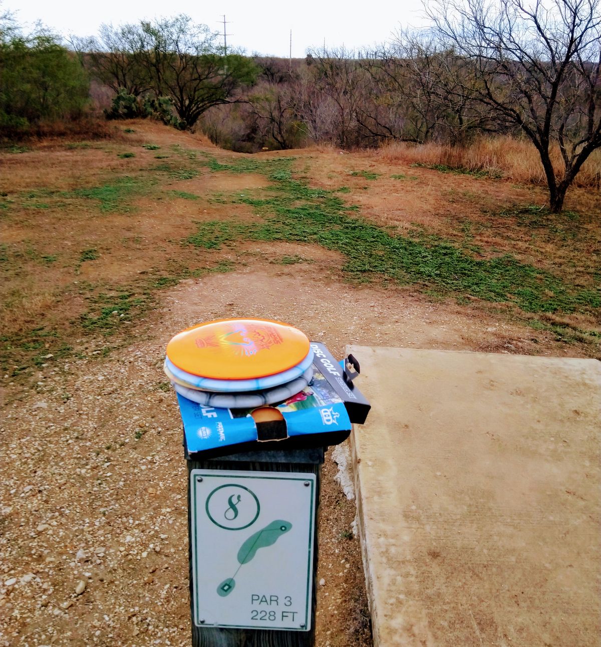Hole 8, you can barely see the top of the basket.
