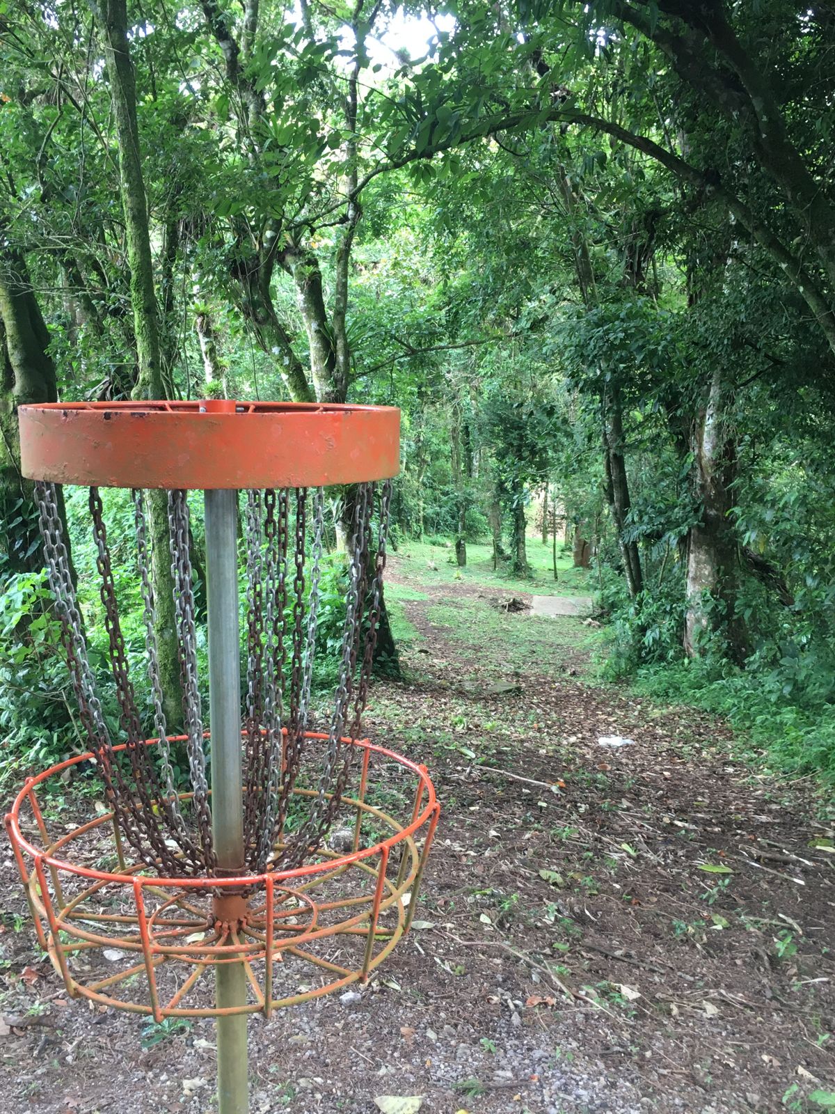 Hole 8 Basket to Tee