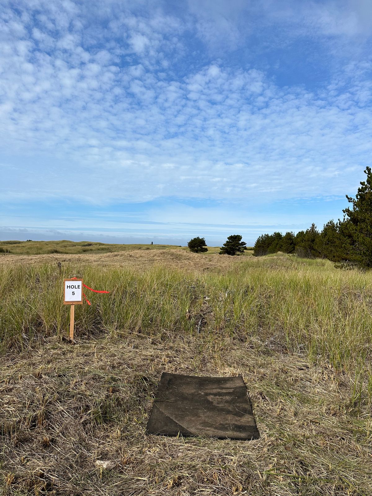 Hole 5 temporary tee