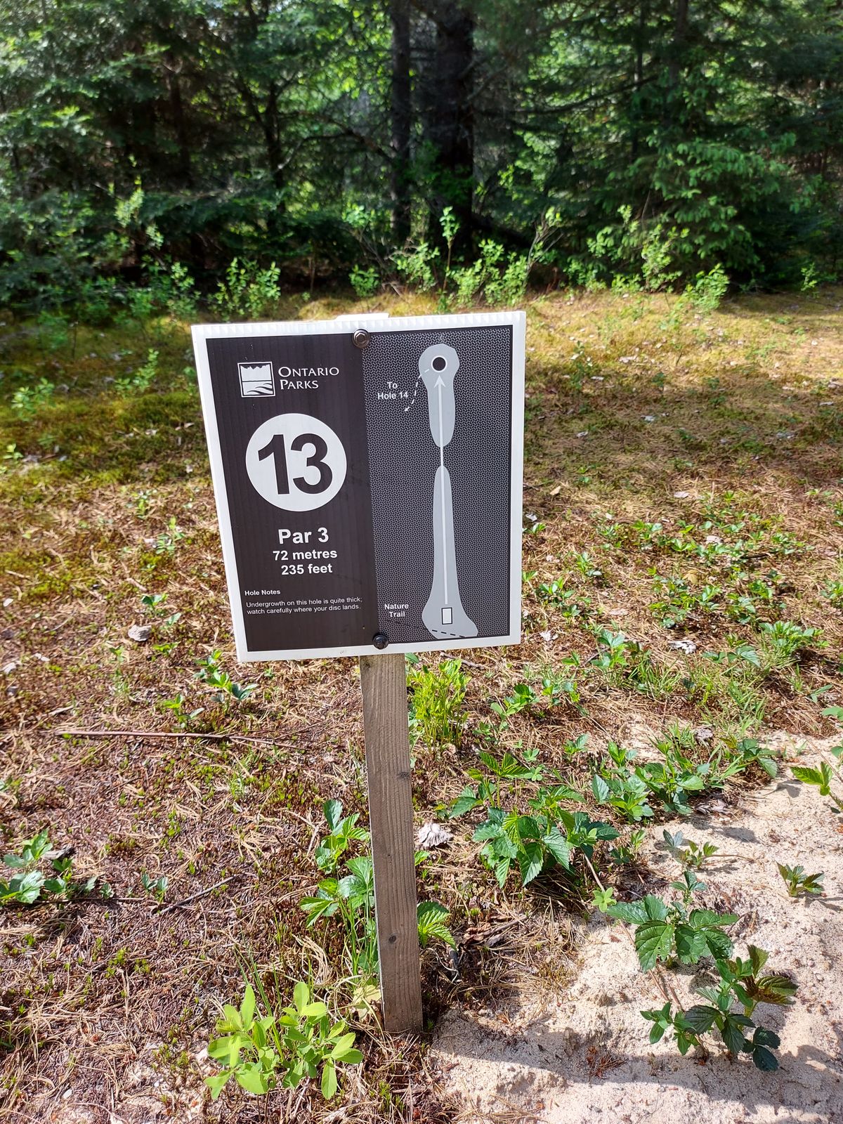 Hole sign 13. 235 ft 🍁🌲🍁🌲🍁🌲