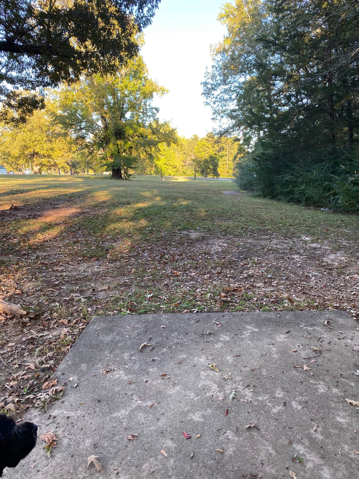Hole 4