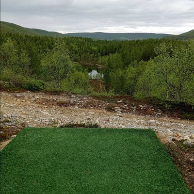 Hole 15| #15