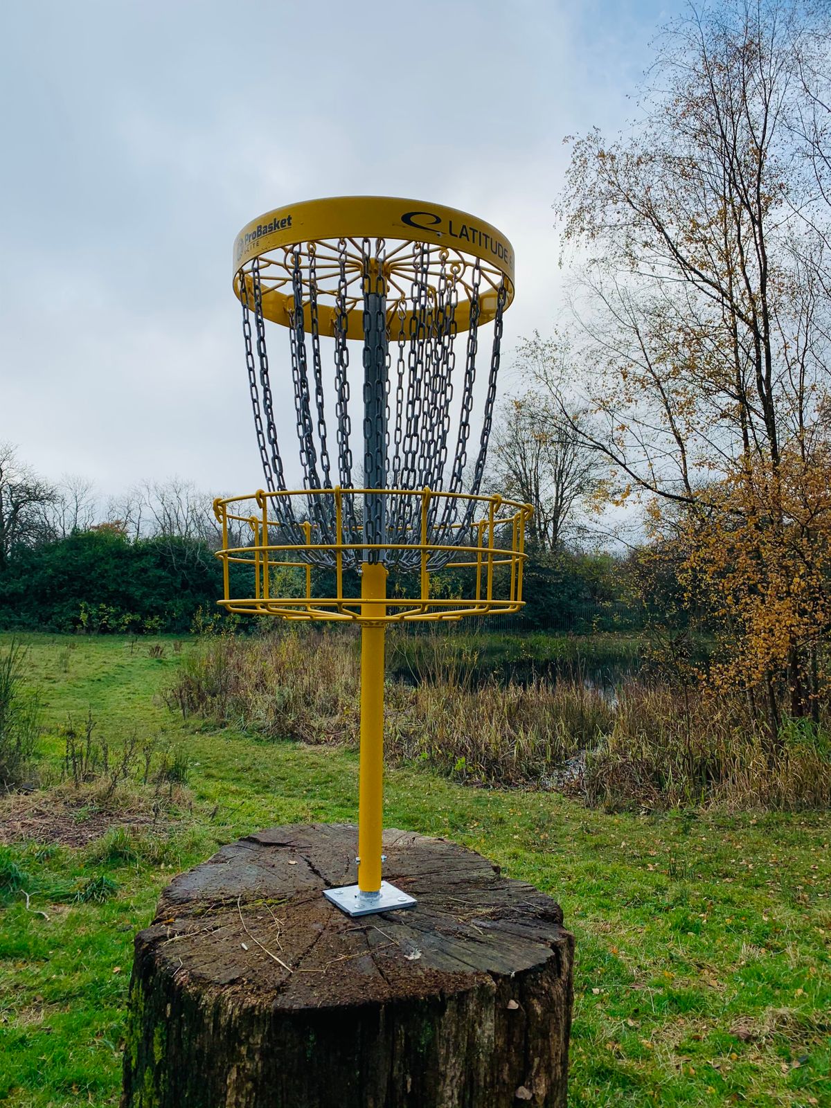 Brand new Basket installed on stump at hole 10