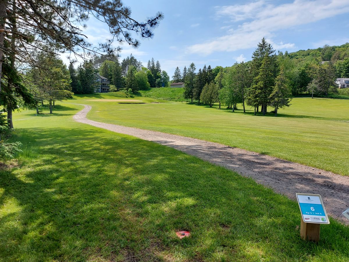 394ft tee pad 6 🦌🦌🦌🦌🦌🦌