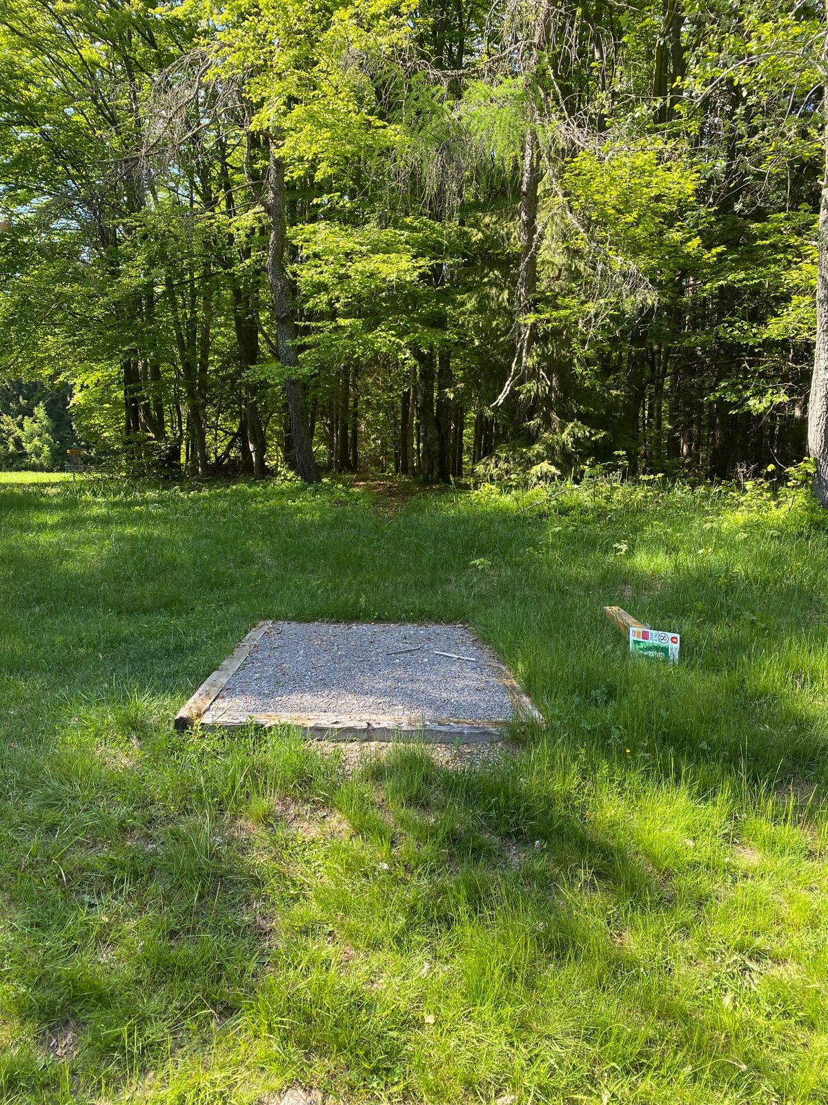Tee8