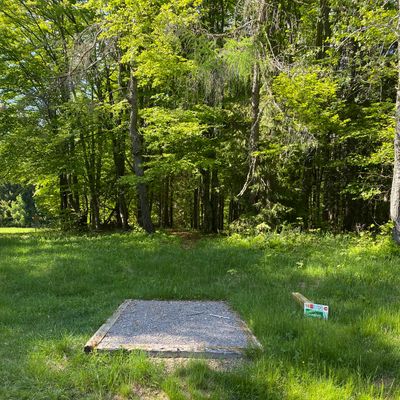 Tee8