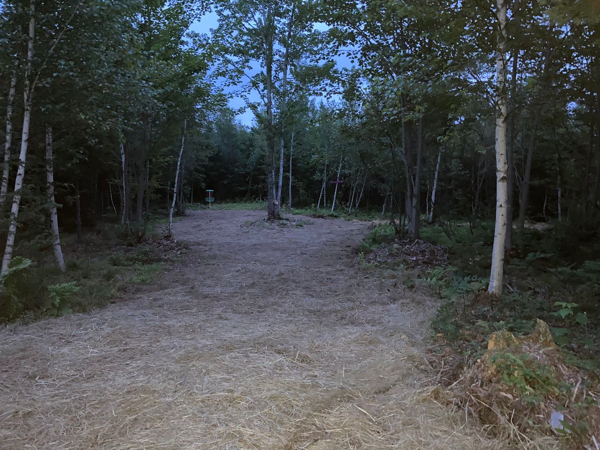 Hole 10 basket