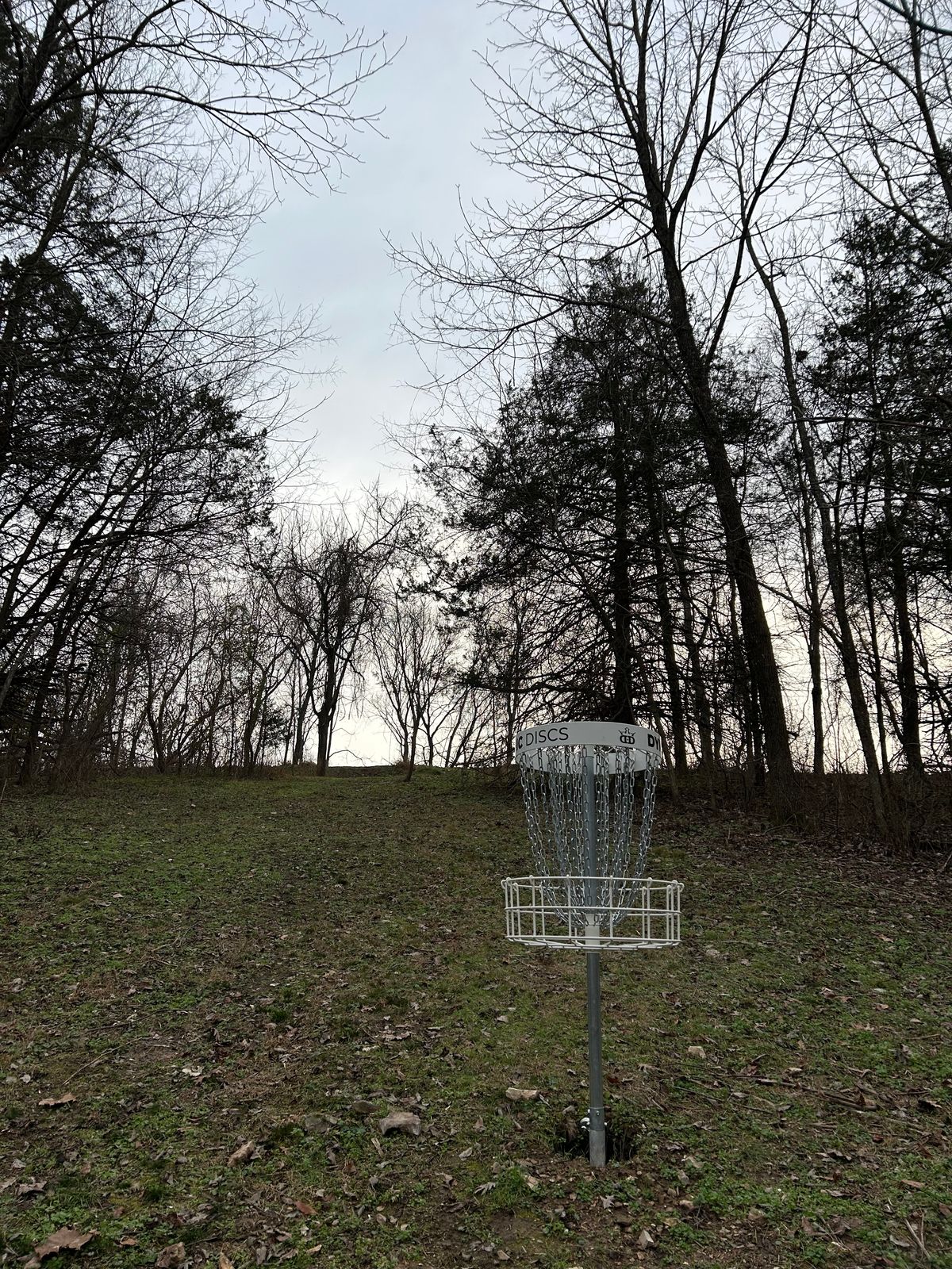 Hole 10 looking back at the fairway