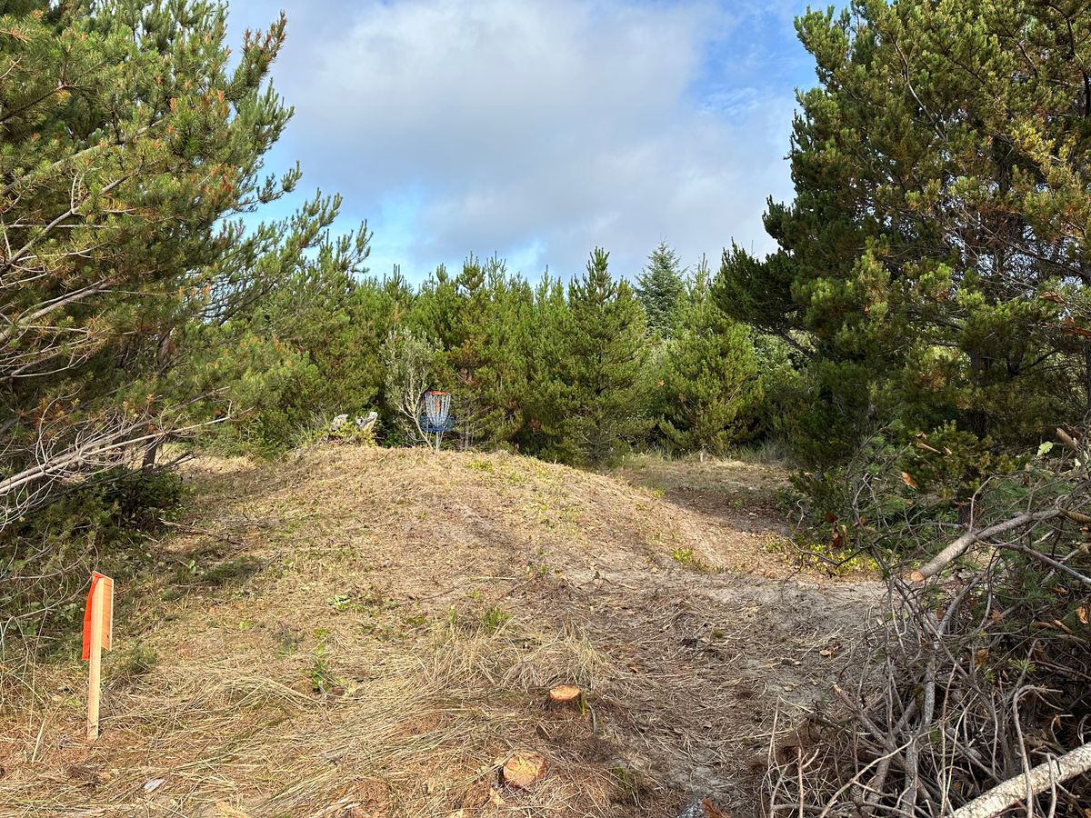Hole 3 basket
