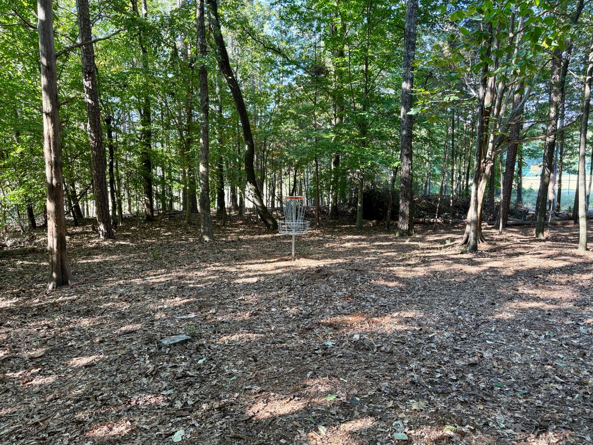 Hole 12 approach