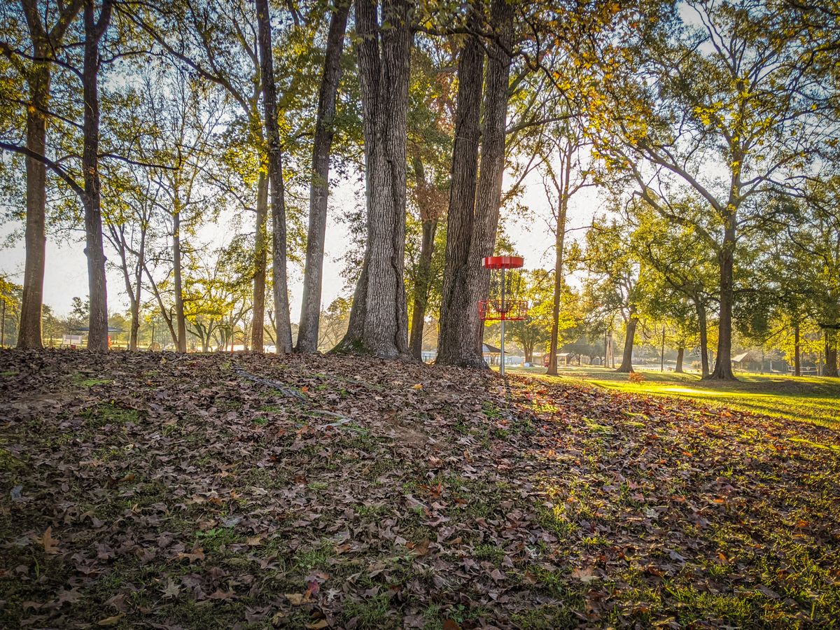 Hole 4 Basket on a Hill