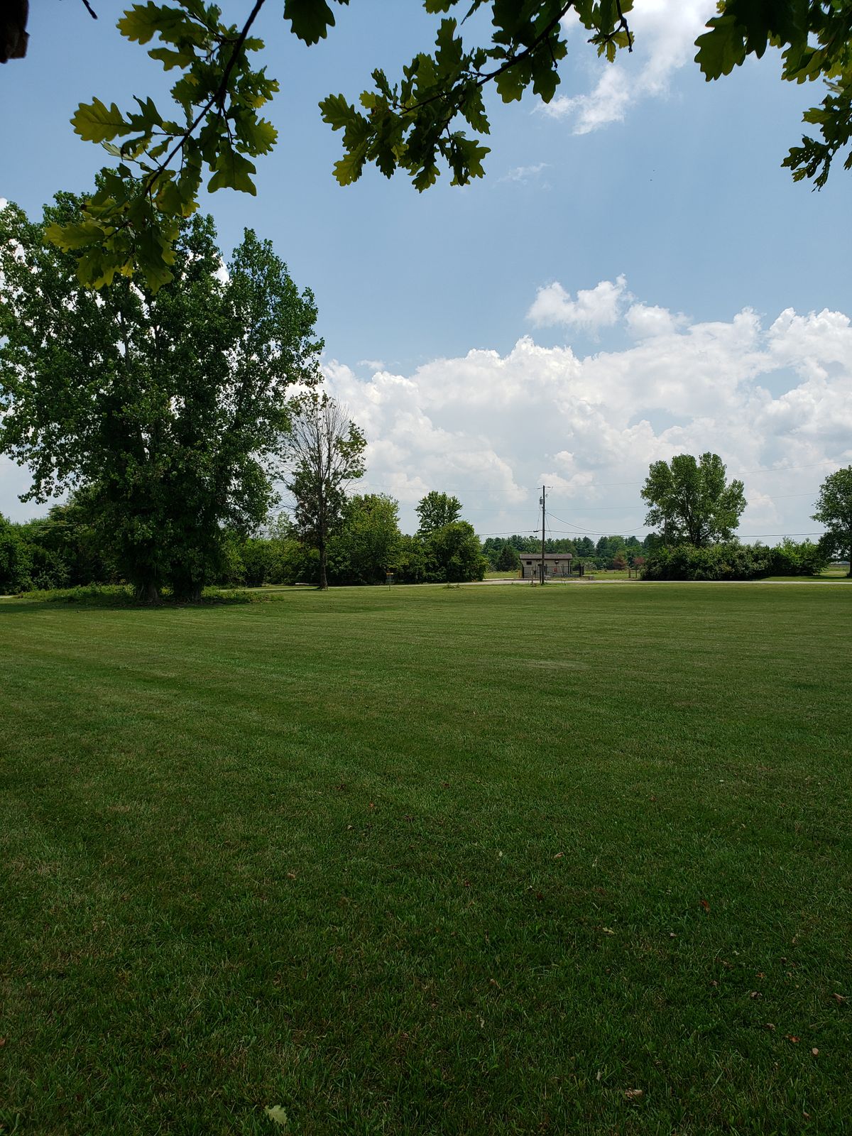 #5 Fairway view.