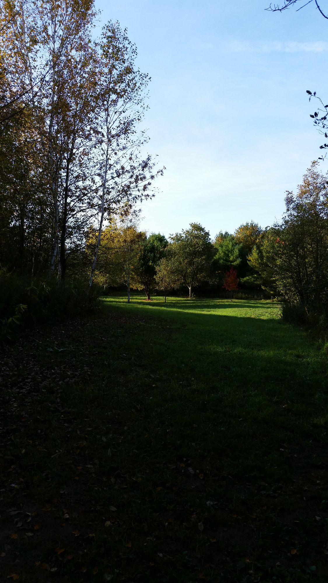 Hole 13